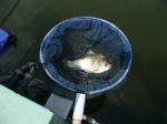 2010_09190005_640.JPG