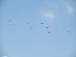 2010_09190002_640.JPG