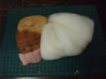 2010_09250003_640.JPG