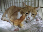 2010_09250024_640.JPG