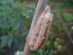 2010_10020007_640.JPG