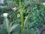 2010_10020013_640.JPG