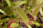 2010_10030539_640.JPG