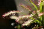 2010_10030268_640.JPG