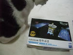 2010_10090037_640.JPG