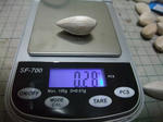 2010_10110036_640.JPG