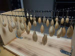 2010_10170038_640.JPG