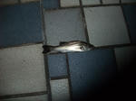 2010_10230008_640.JPG