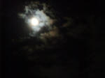 2010_10230005_640.JPG