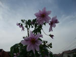2010_11130010_640.JPG