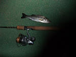2010_12260006_640.JPG
