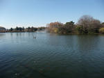 2010_12280005_640.JPG