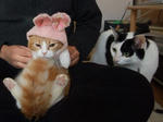 2010_12260035_640.jpg