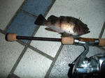 2011_01020010_640.JPG