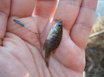 2011_01020012_640.JPG