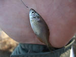 2011_01020015_640.JPG