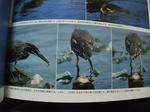 2011_02060026_640.JPG