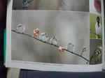 2011_02060027_640.JPG