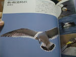 2011_02060031_640.JPG