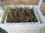 2011_02130005_640.JPG