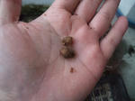 2011_02130010_640.JPG