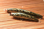 2010_03140010_640.JPG