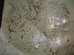 2011_04240003_640.JPG