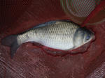 2011_05010001_640.JPG