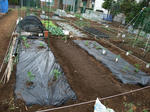 2011_05050056_640.JPG