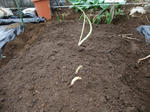 2011_05050057_640.JPG