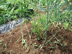 2011_06040009_640.JPG
