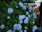2011_06190047_640.JPG