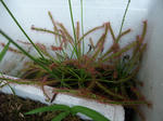 2011_06260062_640.JPG