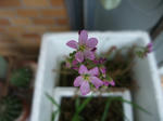 2011_06260060_640.JPG
