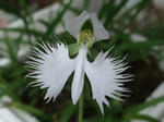 2011_07230002_640.JPG