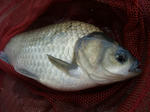 2011_08190009_640.JPG
