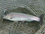 2011_08190021_640.JPG