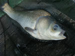 2011_09090007_640.JPG