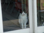 2011_09090006_640.JPG