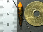 2011_08280021_640.JPG