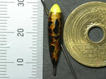 2011_08280025_640.JPG