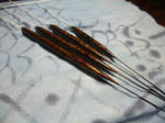 2011_10230010_640.JPG