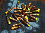 2011_11060015_640.JPG