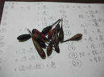 2011_11120011_640.JPG