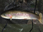 2011_11200004_640.JPG