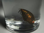2011_11260007_640.JPG