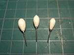 2011_12040008_640.JPG