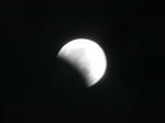 IMG_1743-1_640.jpg