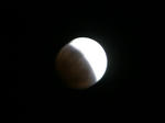 IMG_1750-1_640.jpg