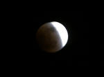 IMG_1757-1_640.jpg
